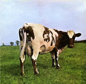 Atom Heart Mother Pink Floyd