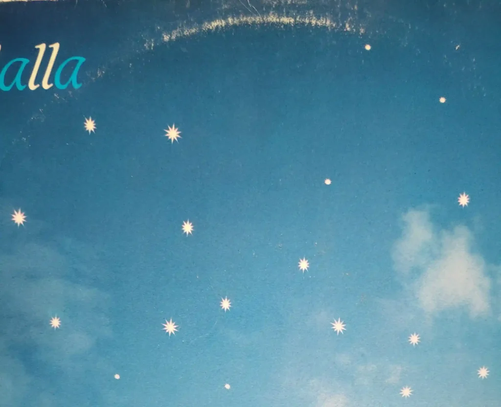 Segni usura sulla copertina del disco